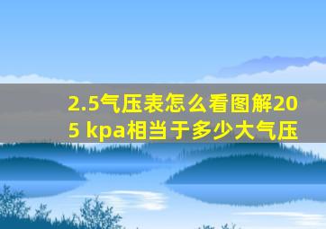 2.5气压表怎么看图解205 kpa相当于多少大气压